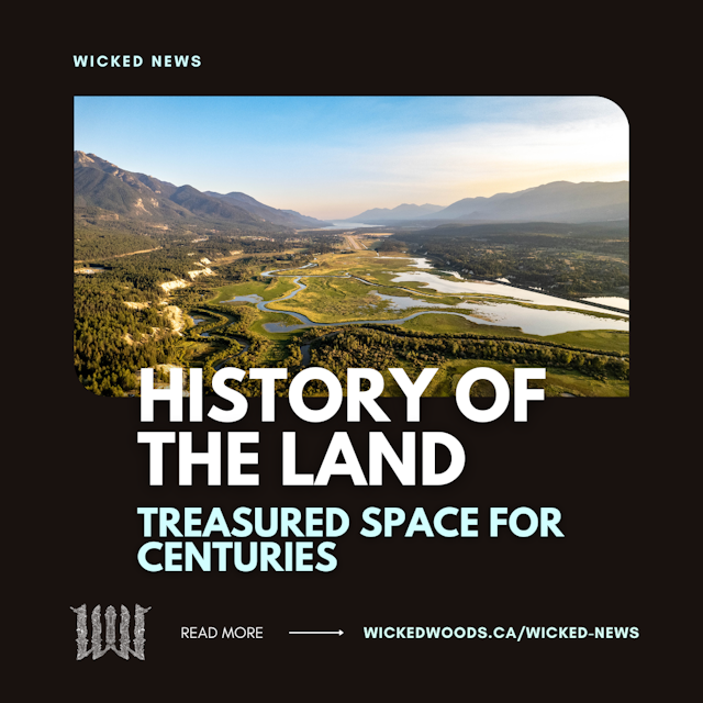 History of the Land Cover Image